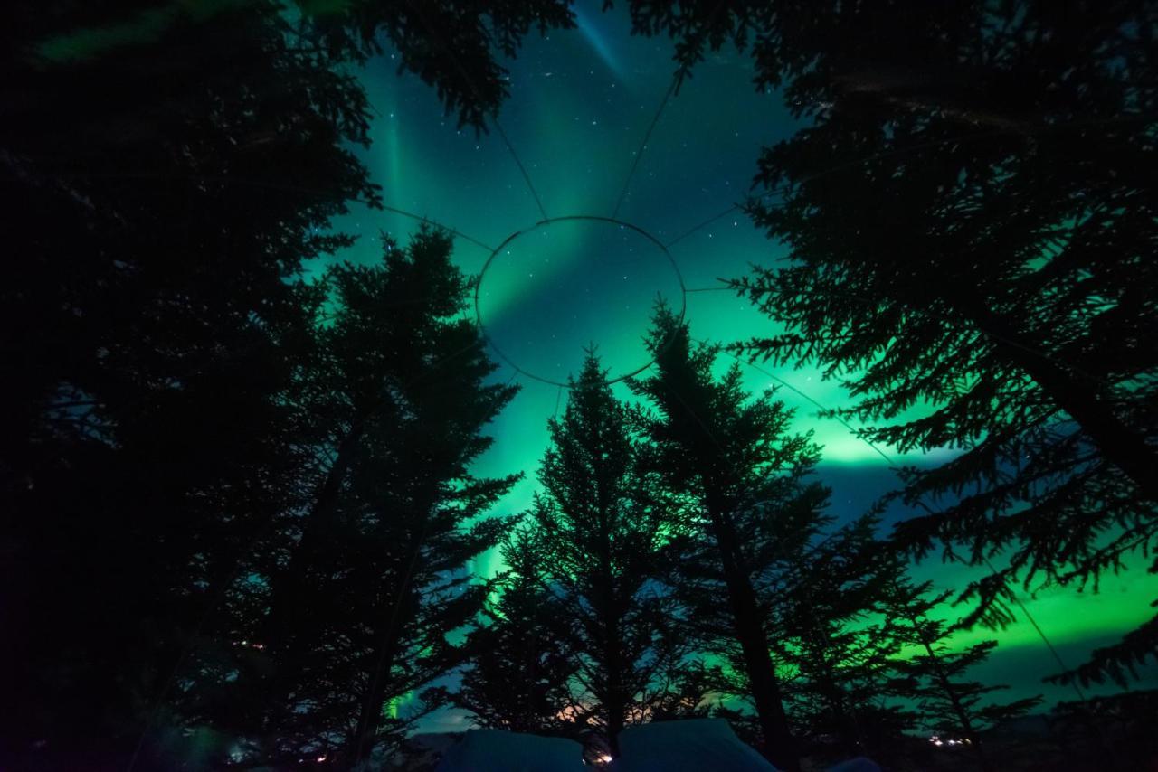 Buubble Hotel - Hrosshagi Selfoss Buitenkant foto